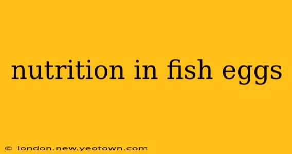 nutrition in fish eggs