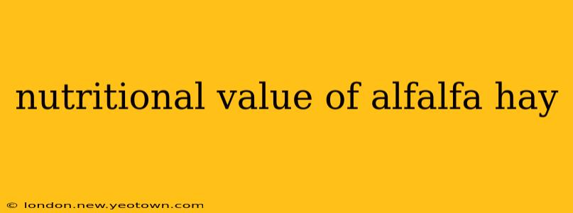 nutritional value of alfalfa hay