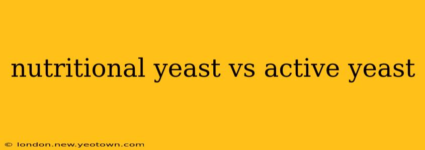 nutritional yeast vs active yeast