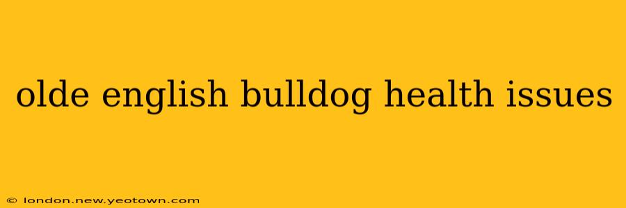 olde english bulldog health issues