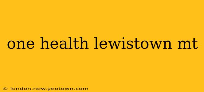 one health lewistown mt