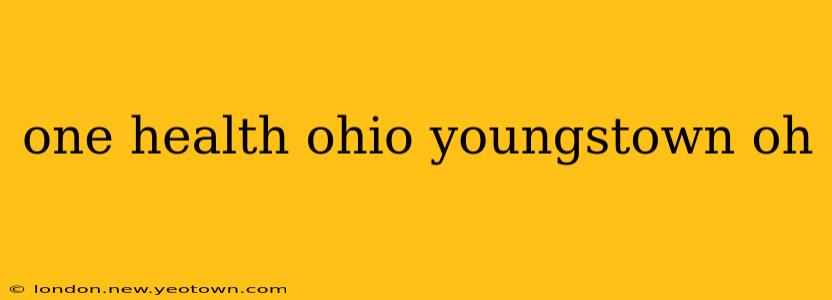 one health ohio youngstown oh
