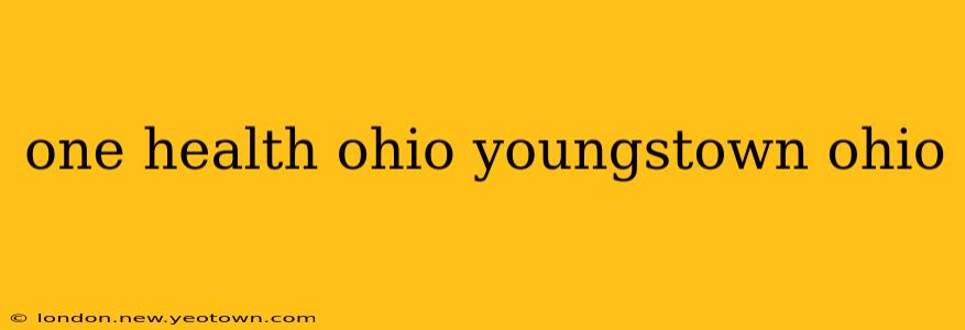 one health ohio youngstown ohio
