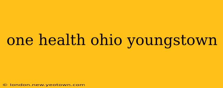 one health ohio youngstown