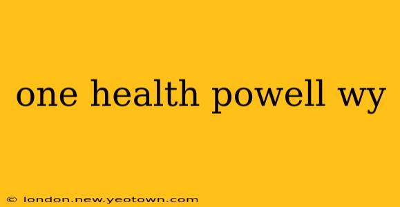 one health powell wy