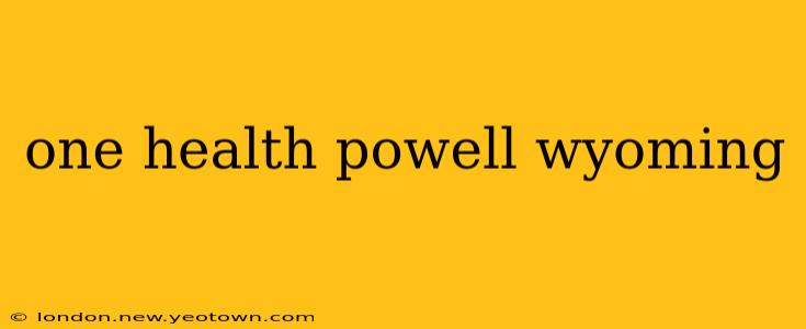 one health powell wyoming