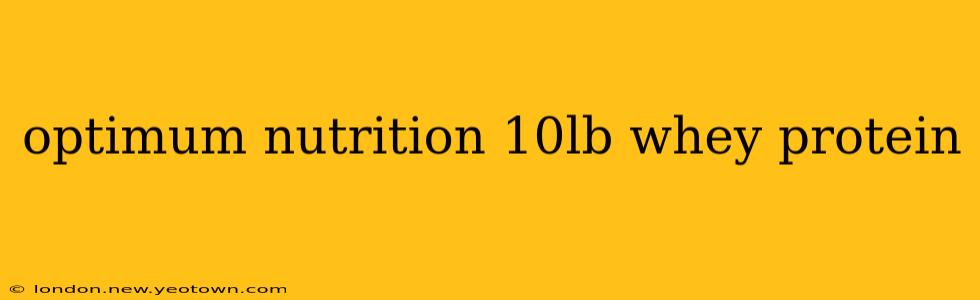 optimum nutrition 10lb whey protein