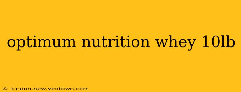 optimum nutrition whey 10lb