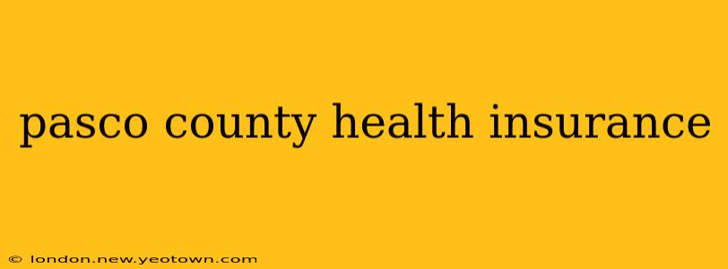 pasco county health insurance