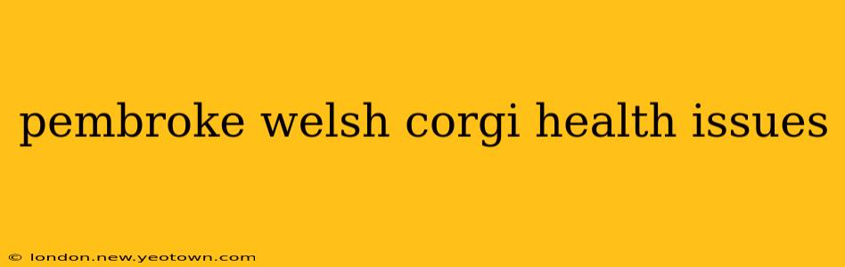 pembroke welsh corgi health issues