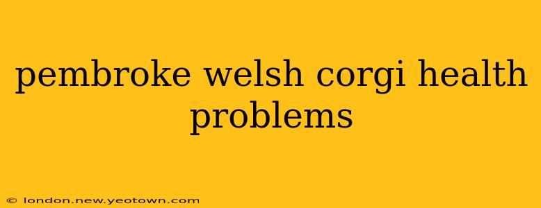 pembroke welsh corgi health problems