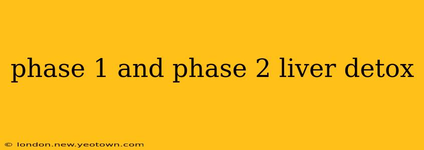 phase 1 and phase 2 liver detox