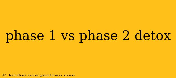 phase 1 vs phase 2 detox