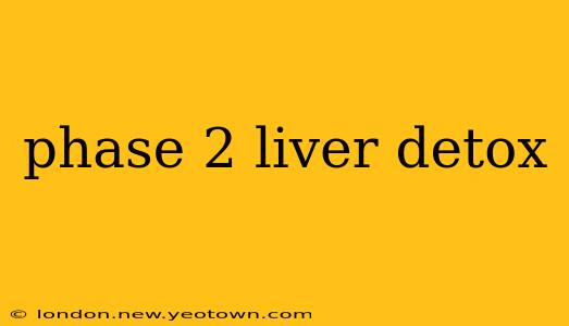 phase 2 liver detox
