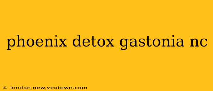 phoenix detox gastonia nc