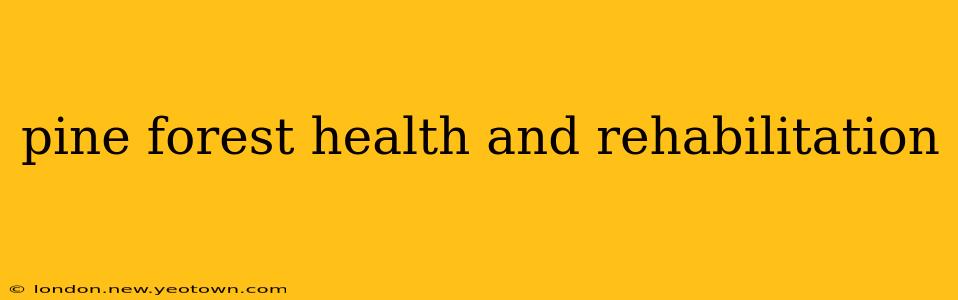 pine forest health and rehabilitation