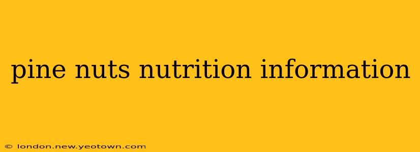 pine nuts nutrition information