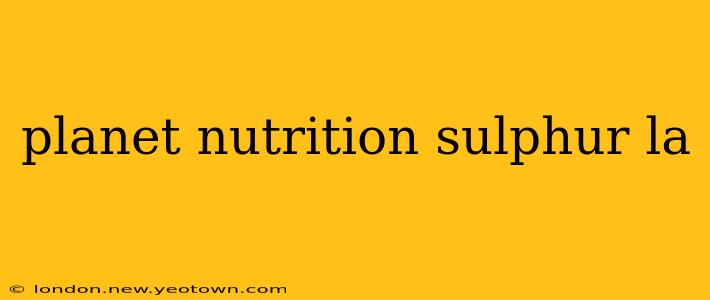 planet nutrition sulphur la