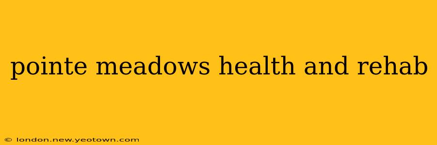 pointe meadows health and rehab