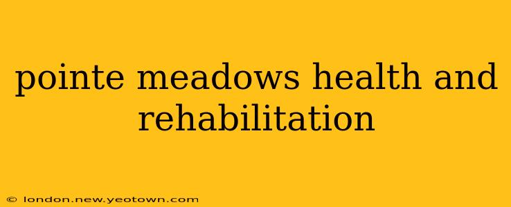 pointe meadows health and rehabilitation