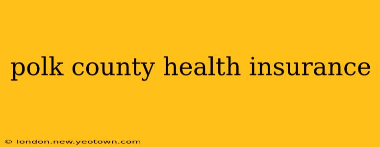 polk county health insurance