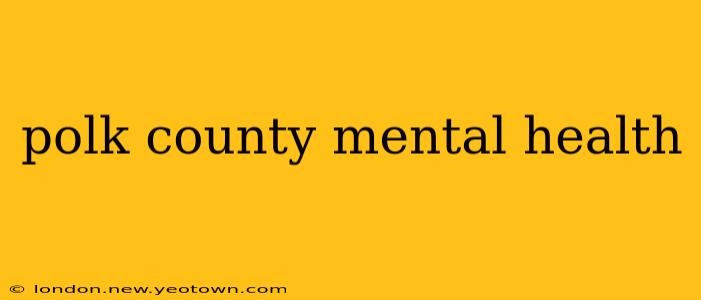 polk county mental health