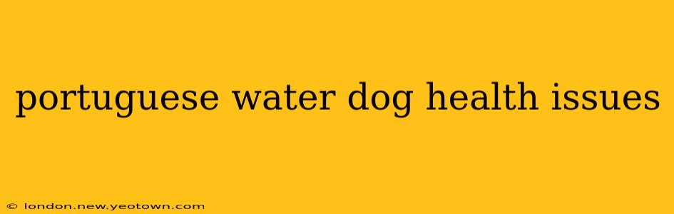 portuguese water dog health issues