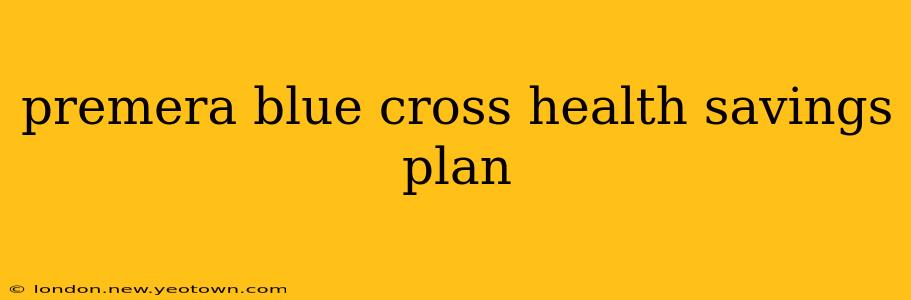 premera blue cross health savings plan