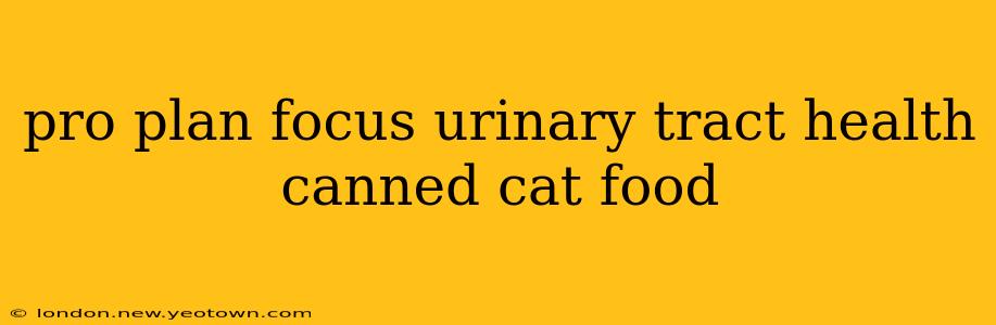 pro plan focus urinary tract health canned cat food