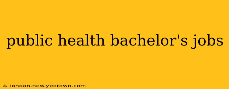 public health bachelor's jobs