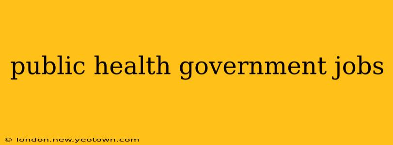 public health government jobs