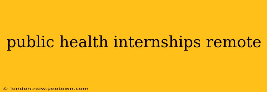 public health internships remote