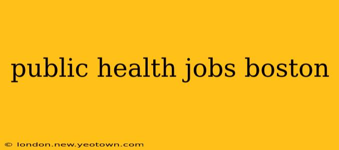 public health jobs boston