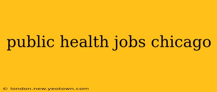 public health jobs chicago