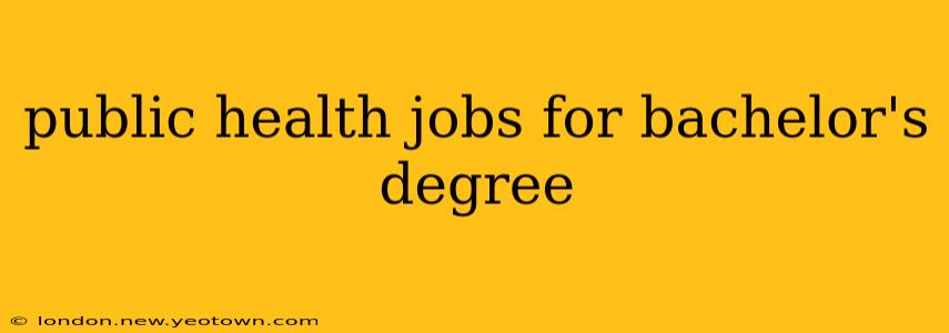 public health jobs for bachelor's degree