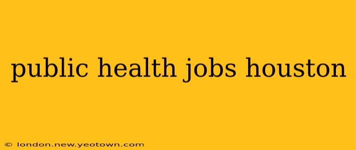 public health jobs houston