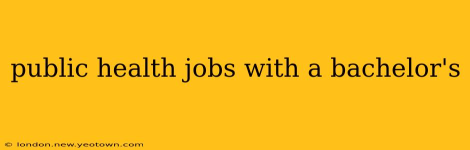 public health jobs with a bachelor's
