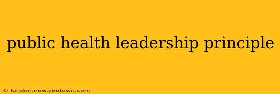 public health leadership principle