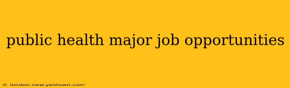 public health major job opportunities
