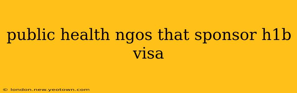 public health ngos that sponsor h1b visa