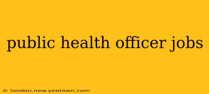 public health officer jobs