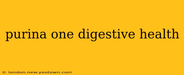 purina one digestive health
