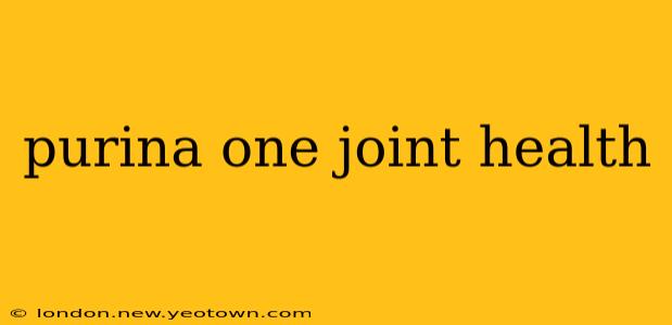 purina one joint health