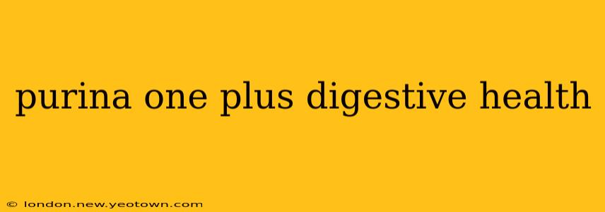 purina one plus digestive health