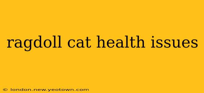 ragdoll cat health issues
