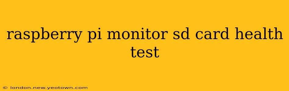raspberry pi monitor sd card health test