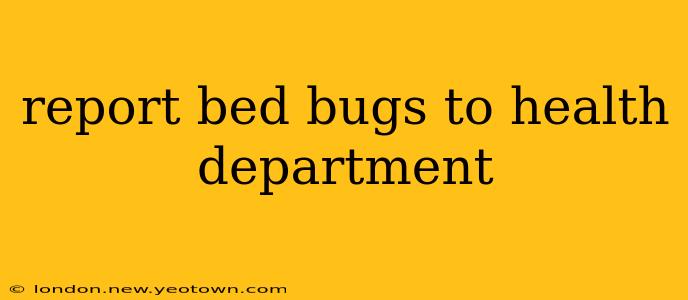 report bed bugs to health department