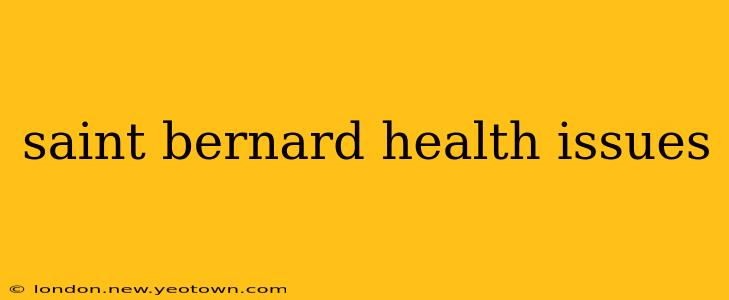 saint bernard health issues