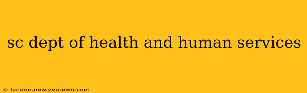 sc dept of health and human services