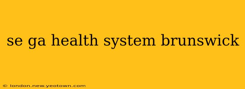 se ga health system brunswick